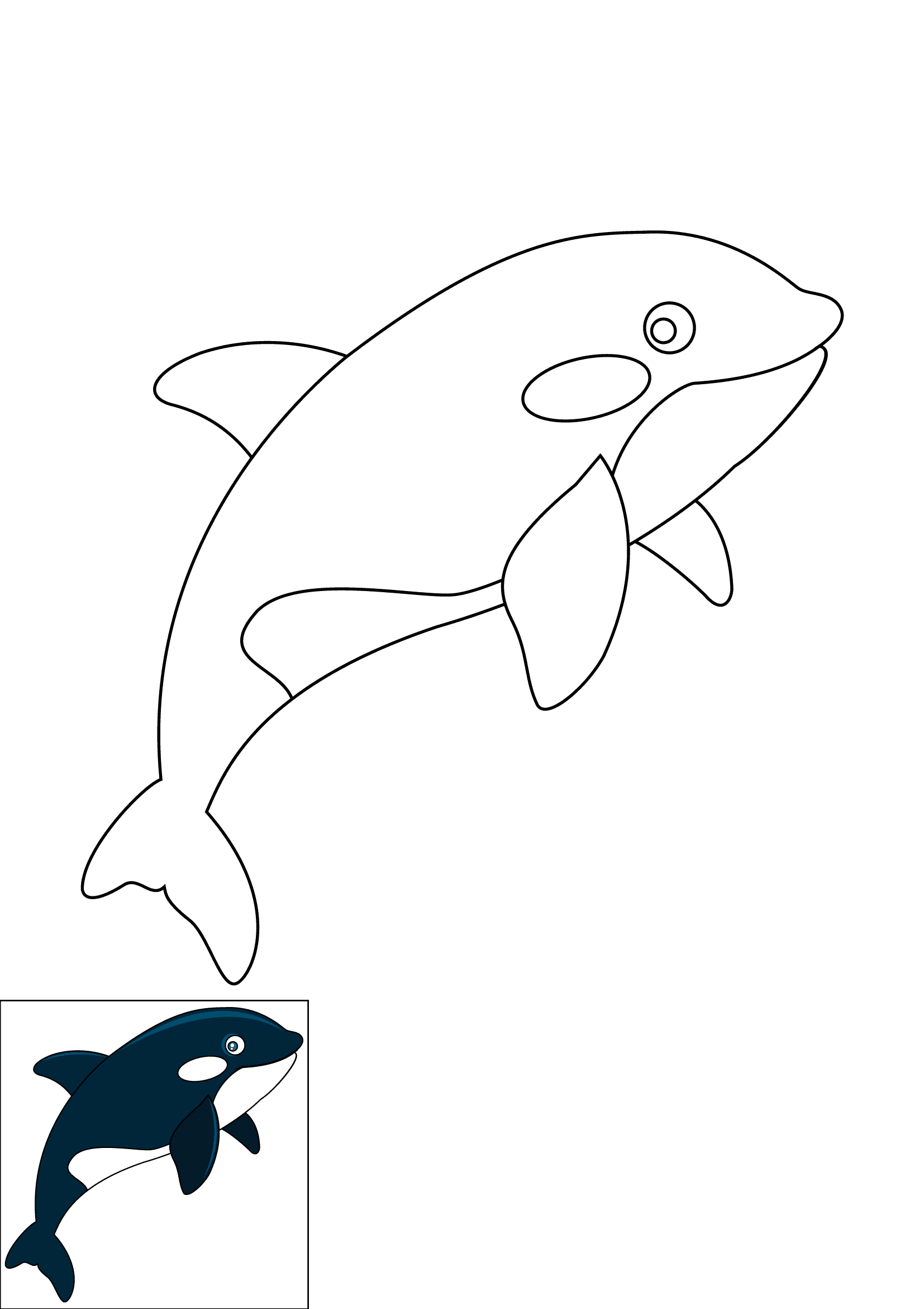 How to Draw An Orca Step by Step Printable Color