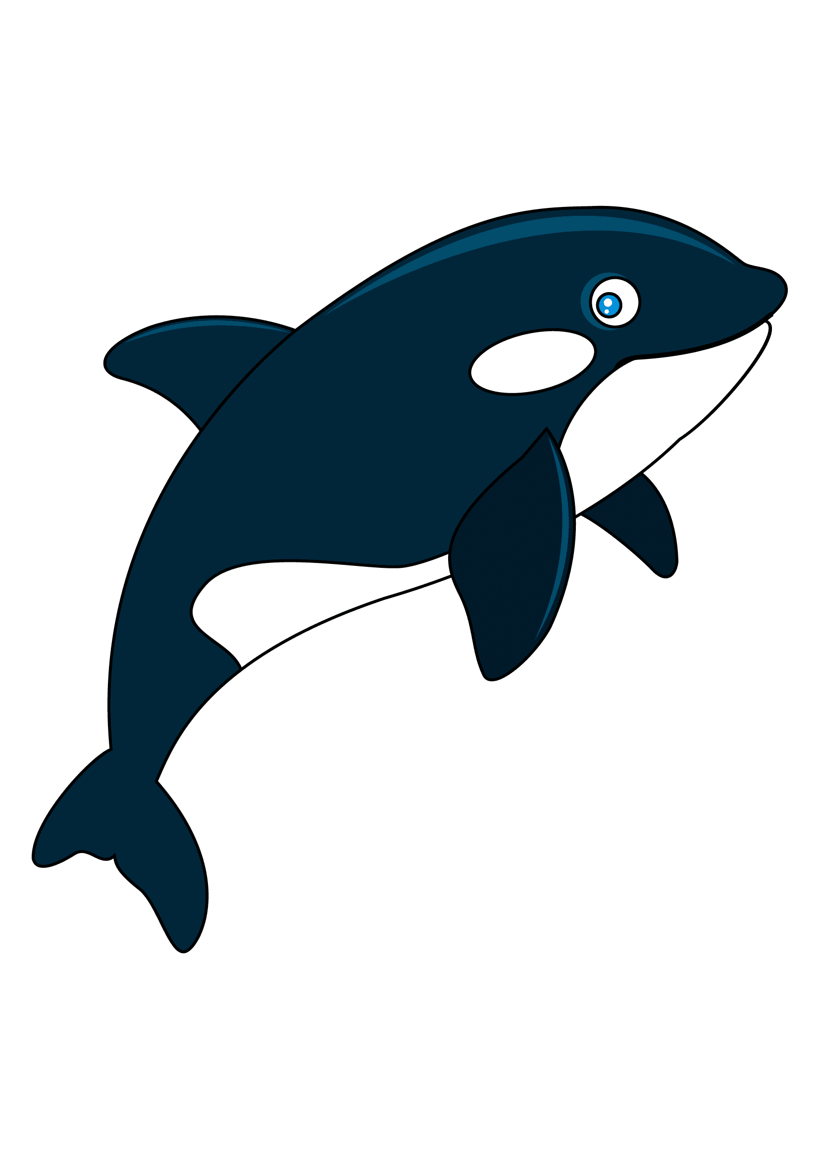 How to Draw An Orca Step by Step Printable