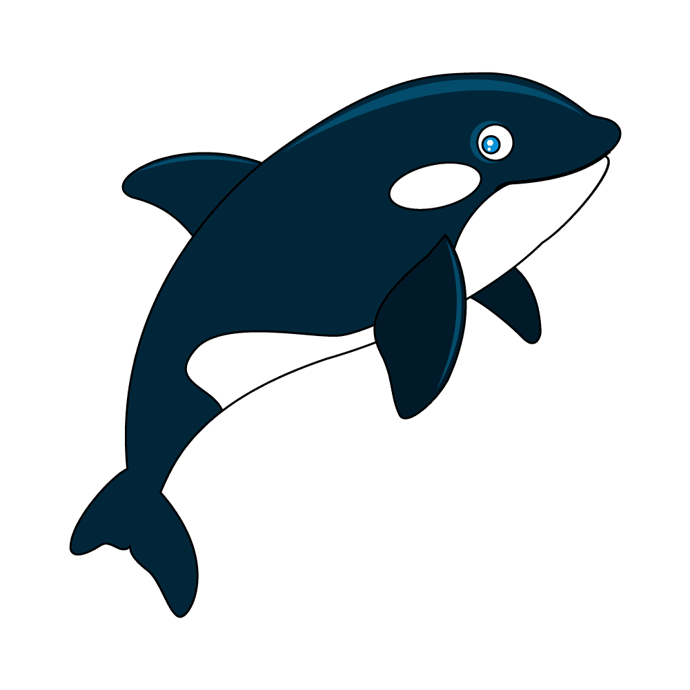 How to Draw An Orca Step by Step Thumbnail