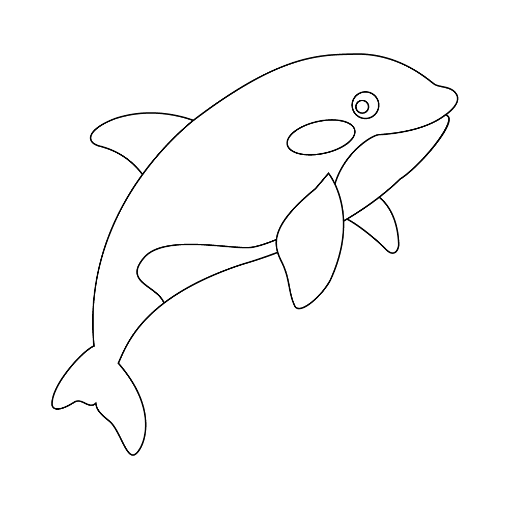 How to Draw An Orca Step by Step Step  10