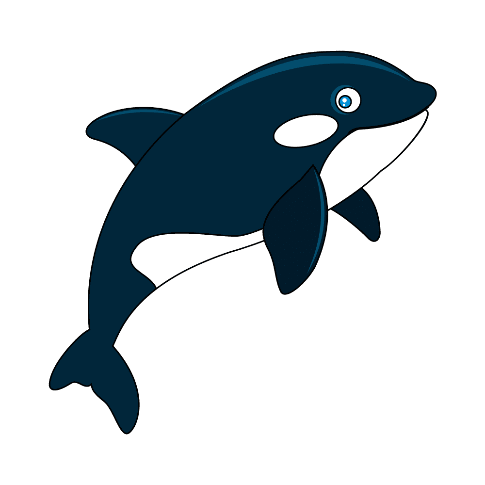 How to Draw An Orca Step by Step Step  11