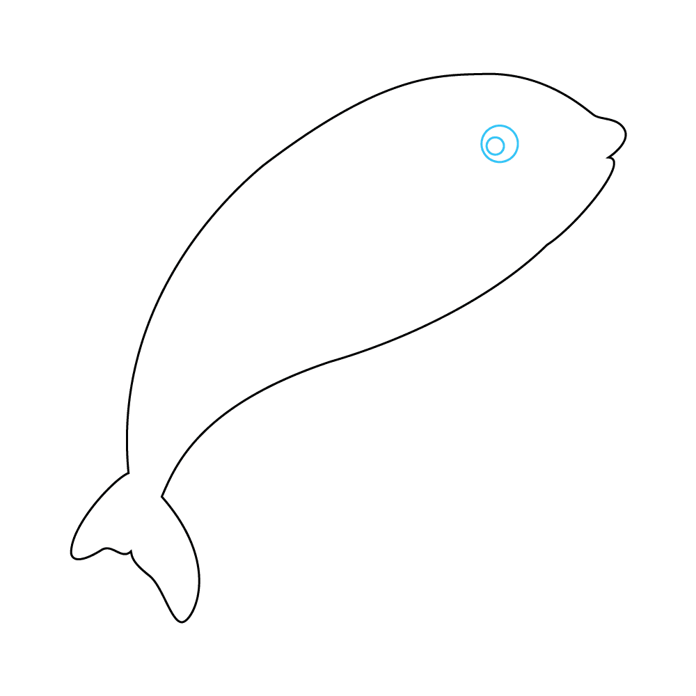 How to Draw An Orca Step by Step Step  3