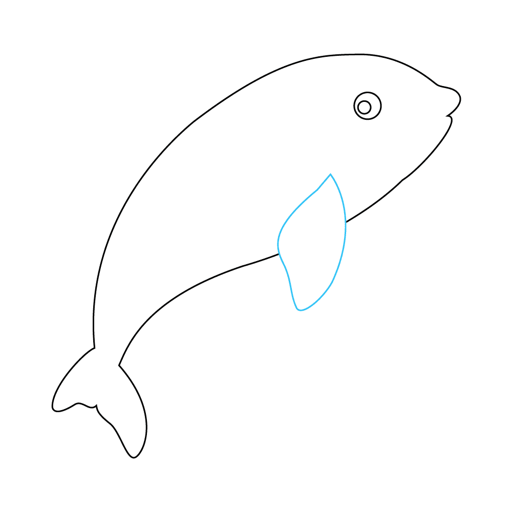How to Draw An Orca Step by Step Step  4