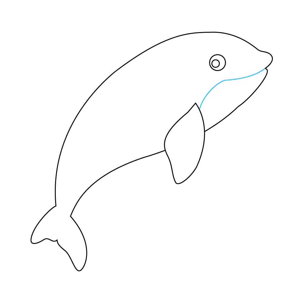 How to Draw An Orca Step by Step Step  5