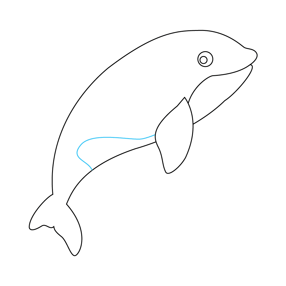 How to Draw An Orca Step by Step Step  6