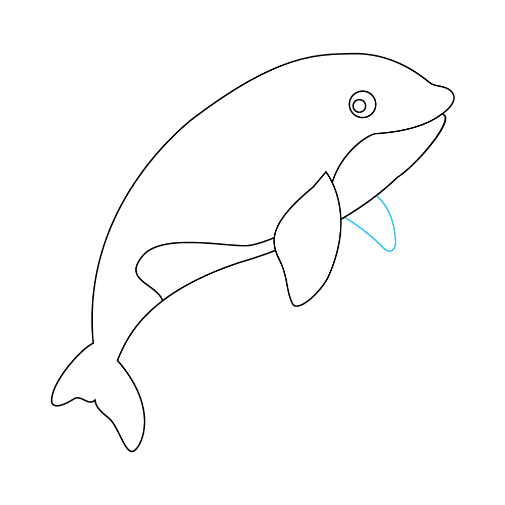 How to Draw An Orca Step by Step Step  7