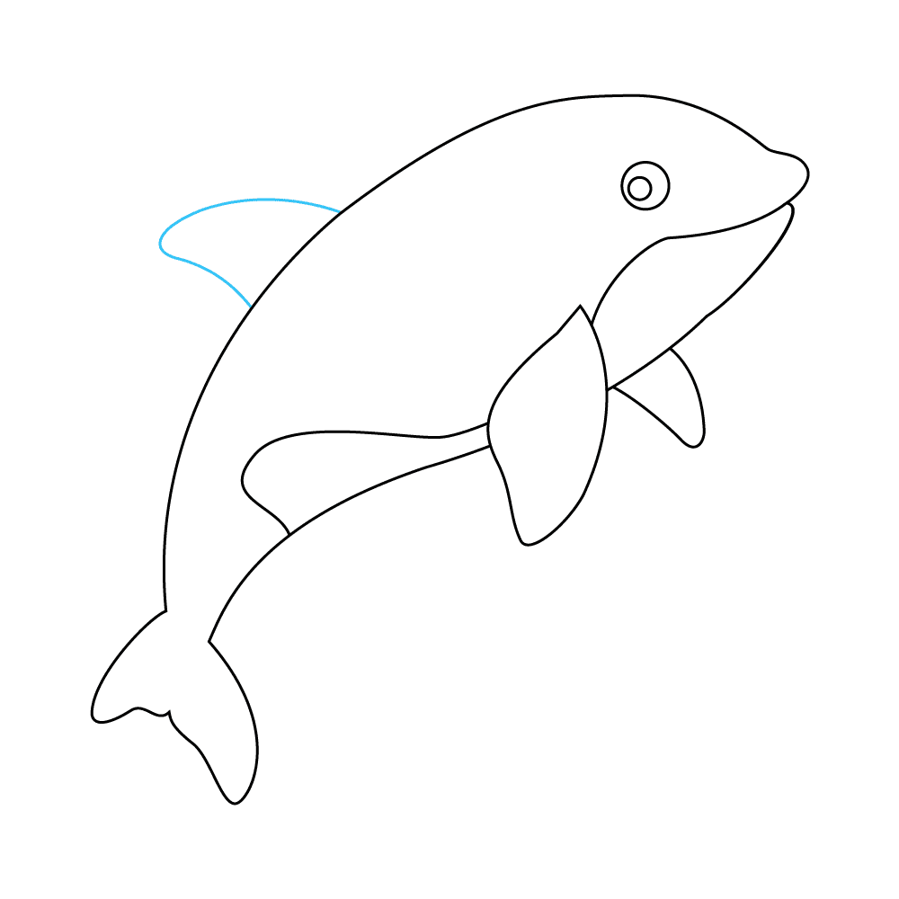 How to Draw An Orca Step by Step Step  8