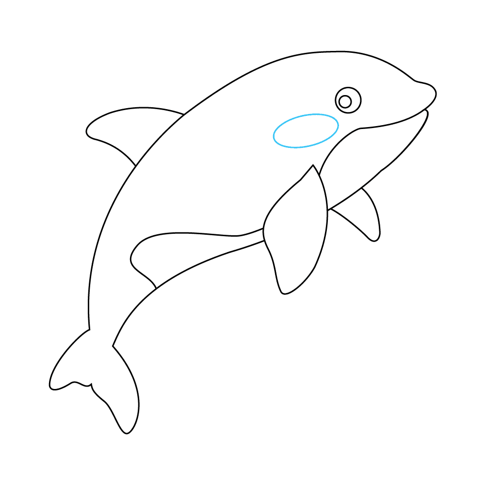How to Draw An Orca Step by Step Step  9