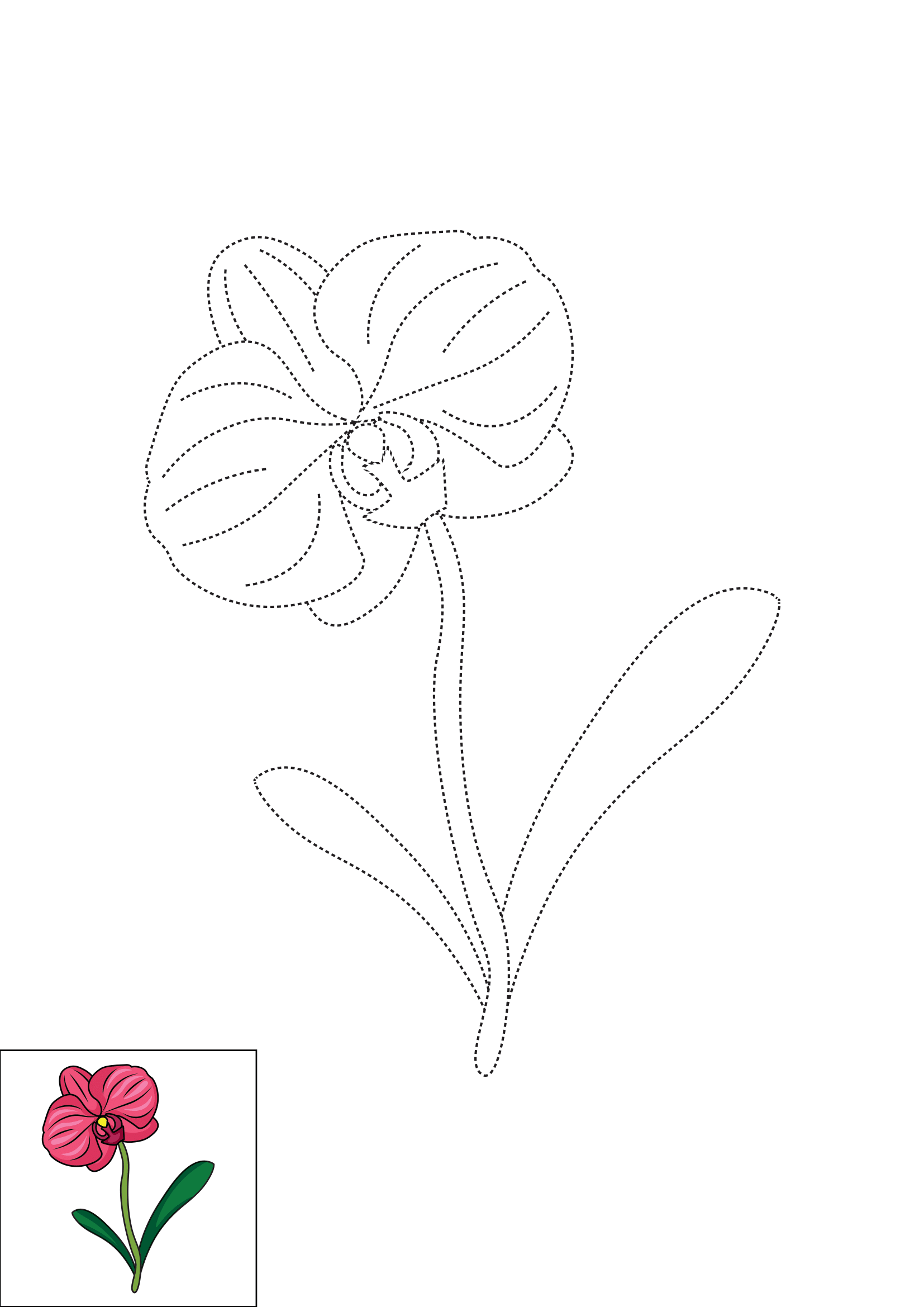 How to Draw An Orchid Step by Step Printable Dotted