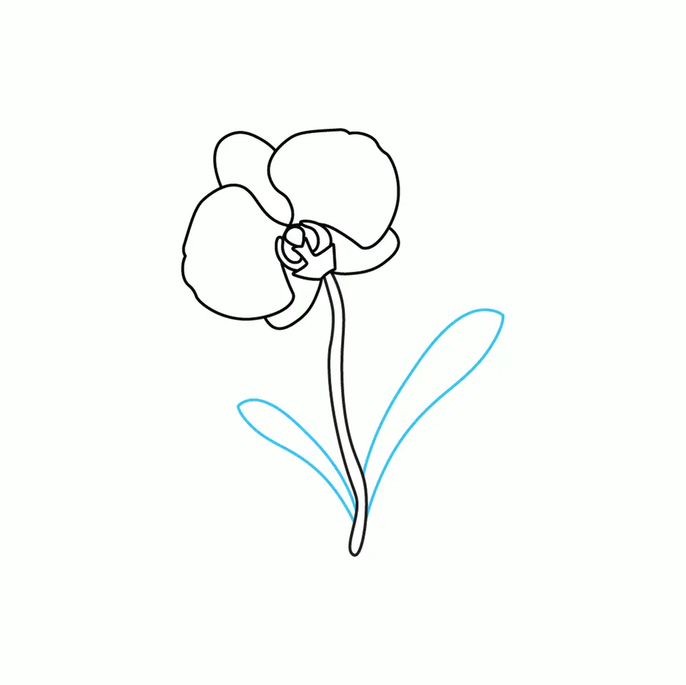 How to Draw An Orchid Step by Step Step  6