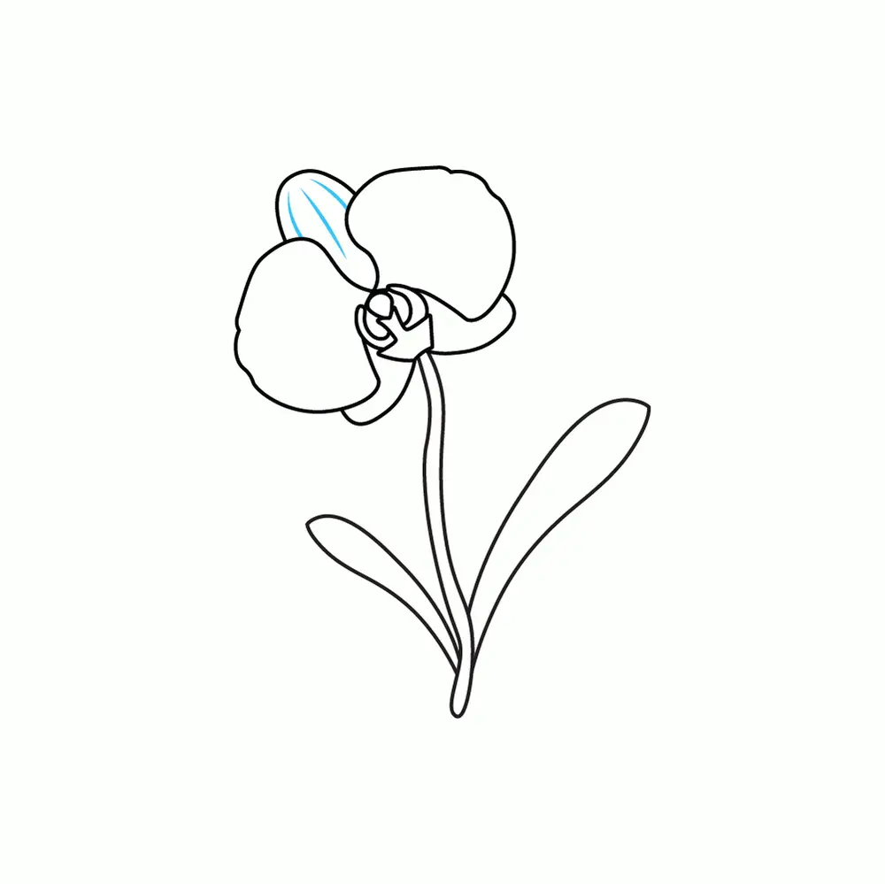 How to Draw An Orchid Step by Step Step  7