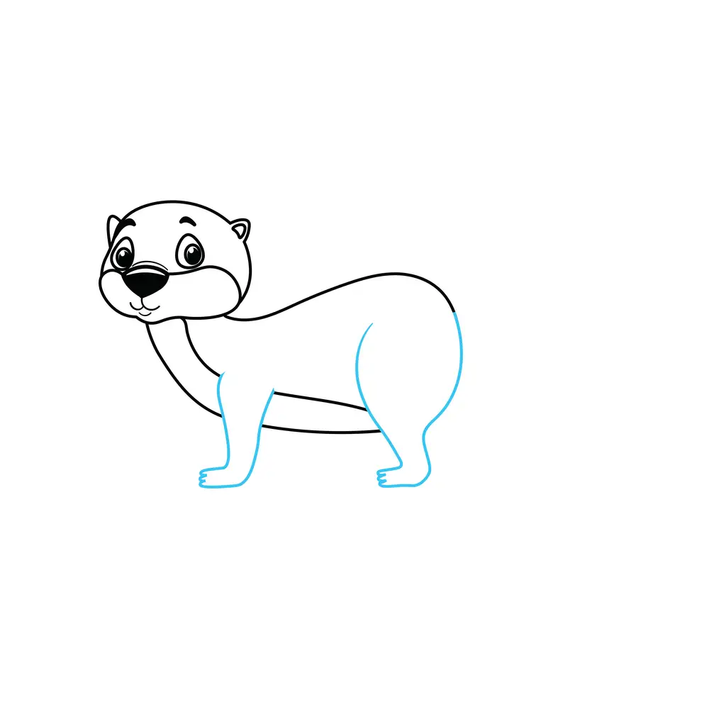 How to Draw An Otter Step by Step Step  6