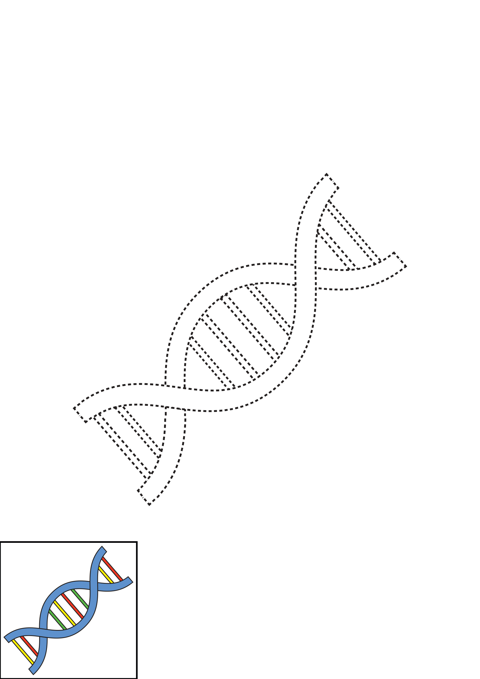 How to Draw Dna Step by Step Printable Dotted