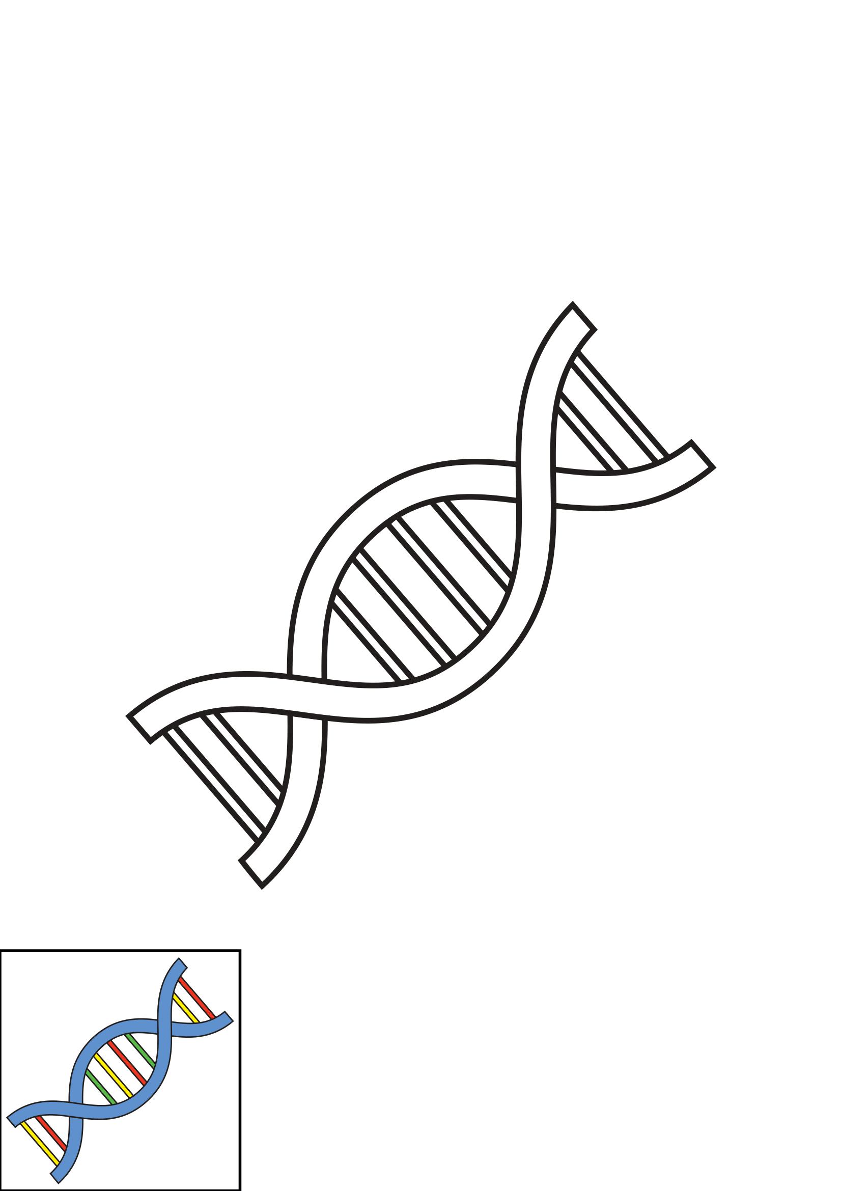 How to Draw Dna Step by Step Printable Color