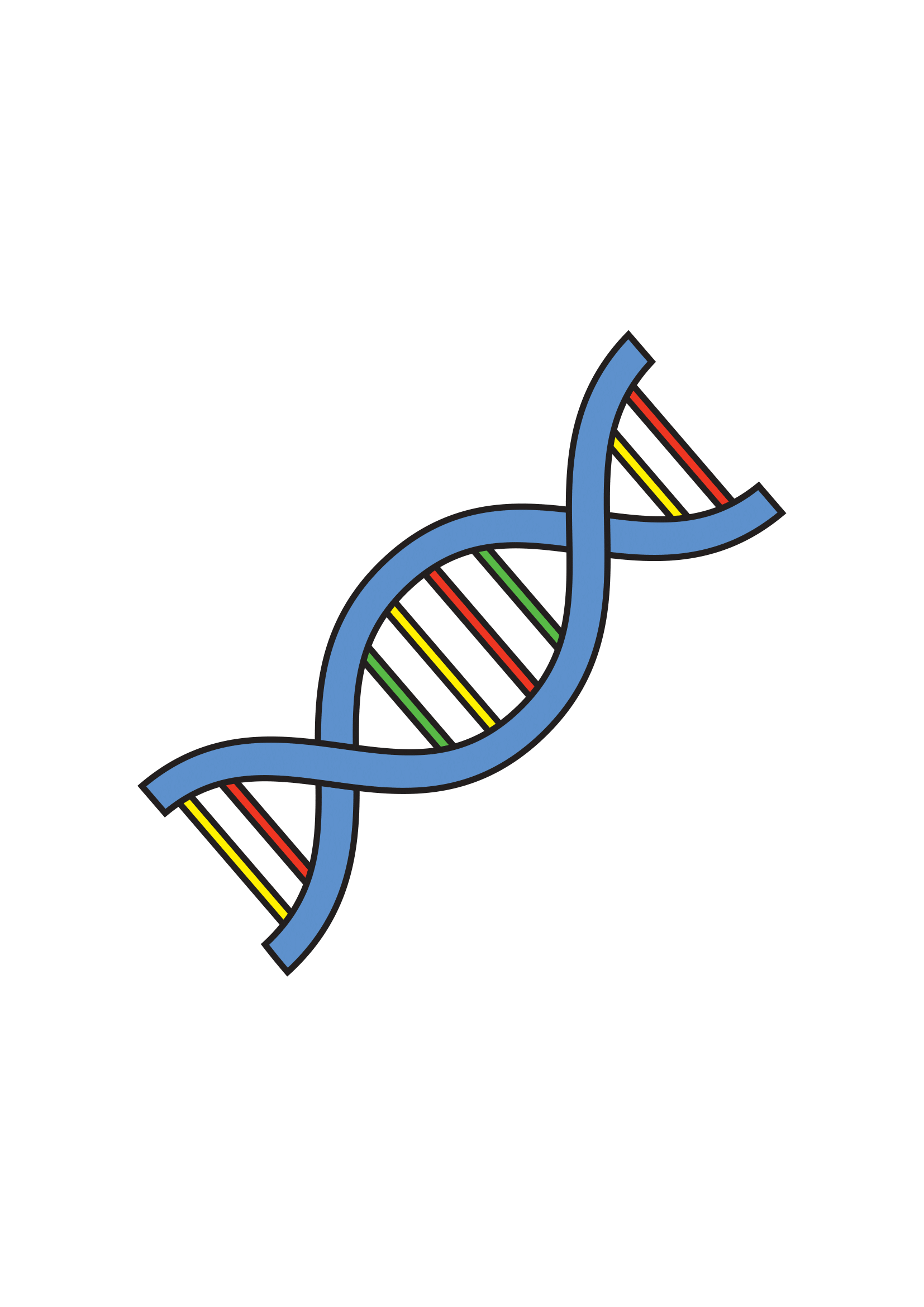 How to Draw Dna Step by Step Printable
