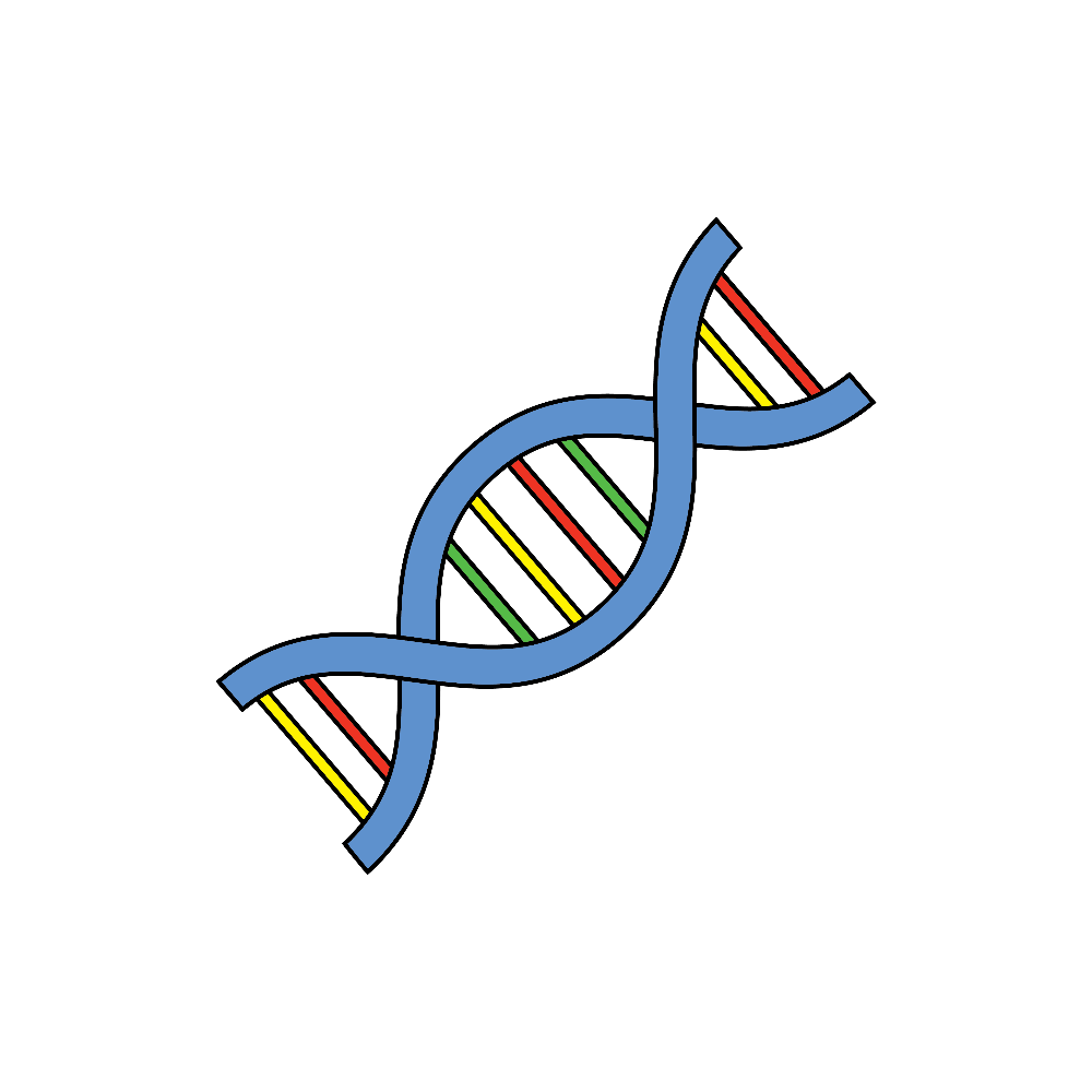 How to Draw Dna Step by Step Thumbnail