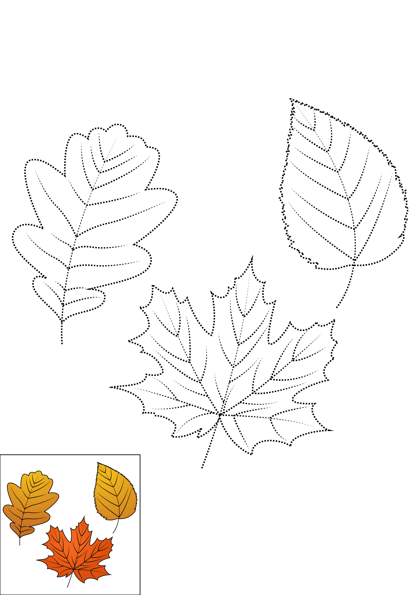How to Draw Fall Leaves Step by Step Printable Dotted