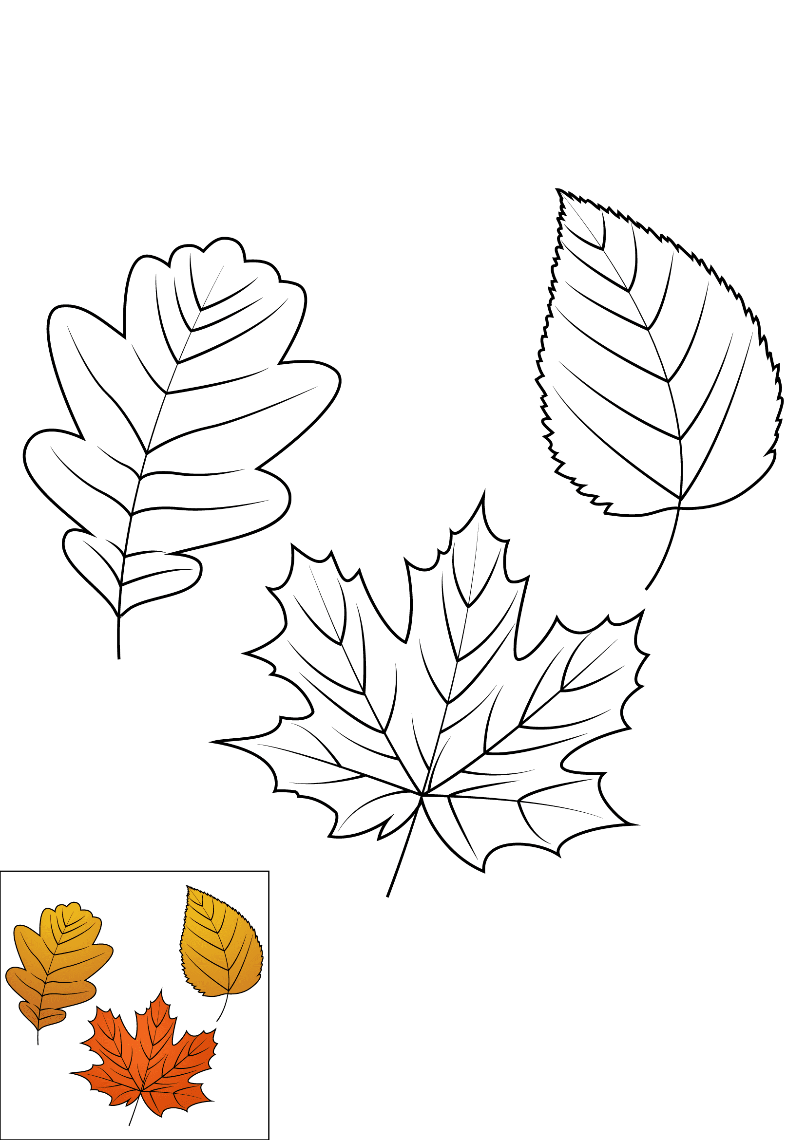 How to Draw Fall Leaves Step by Step Printable Color