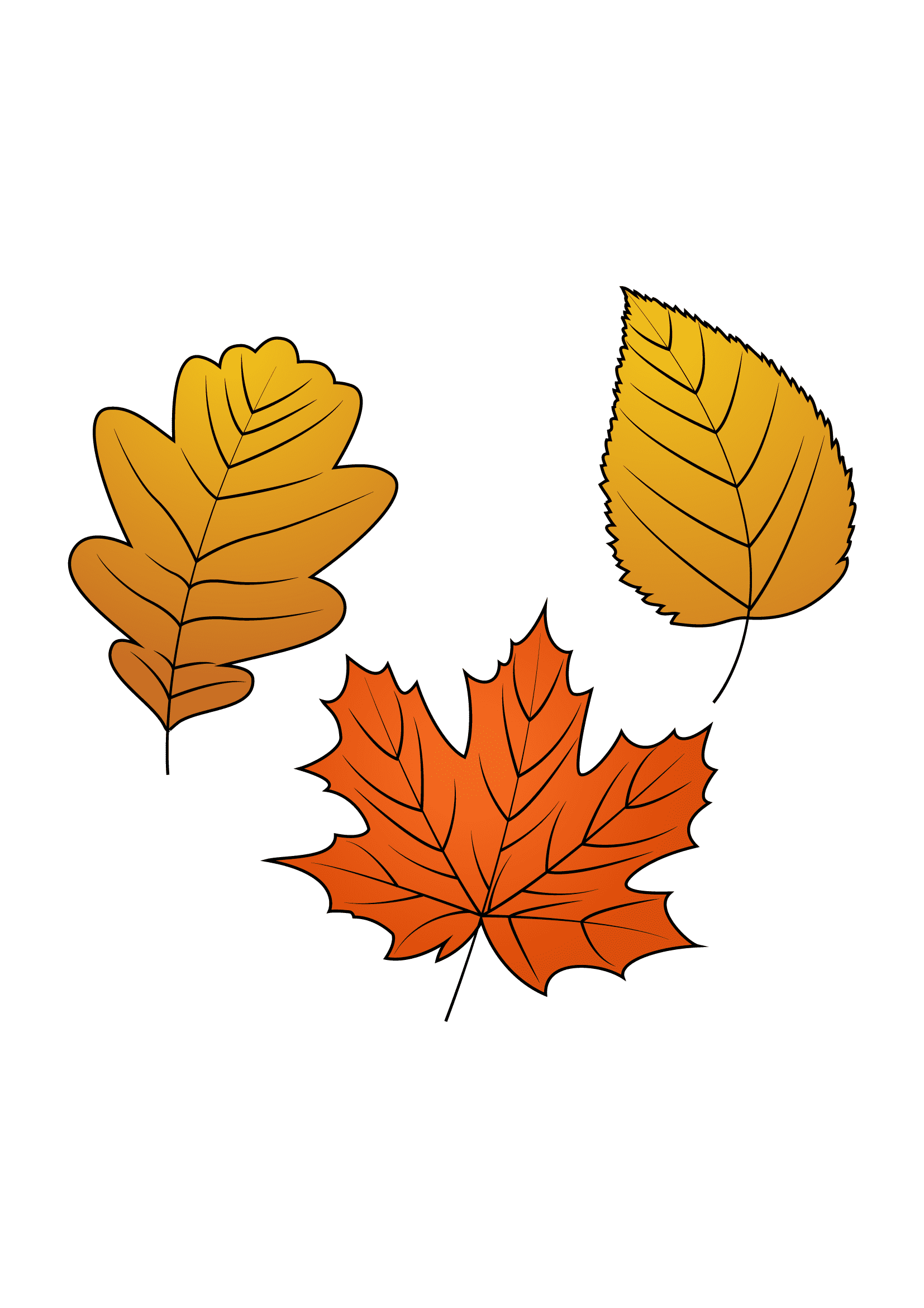 How to Draw Fall Leaves Step by Step Printable