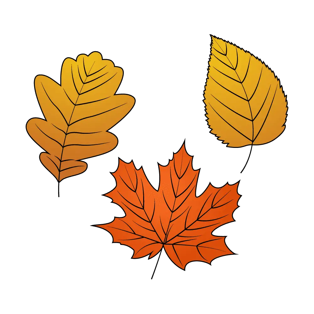 How to Draw Fall Leaves Step by Step Thumbnail