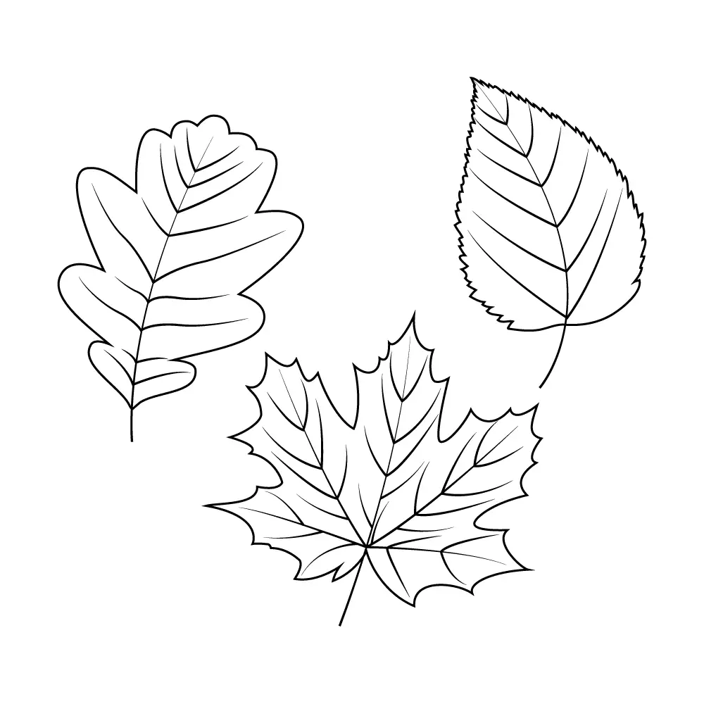 How to Draw Fall Leaves Step by Step Step  10