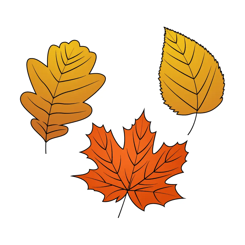 How to Draw Fall Leaves Step by Step Step  11