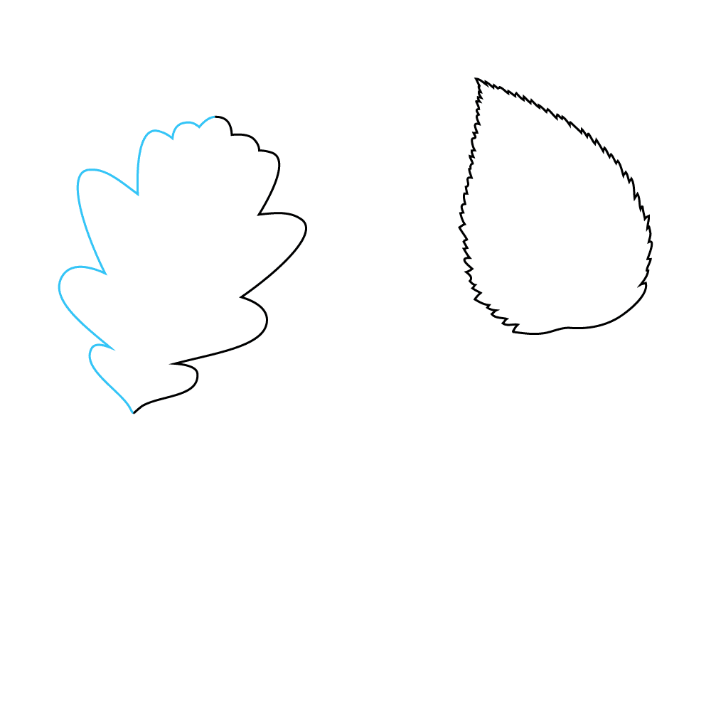 How to Draw Fall Leaves Step by Step Step  4