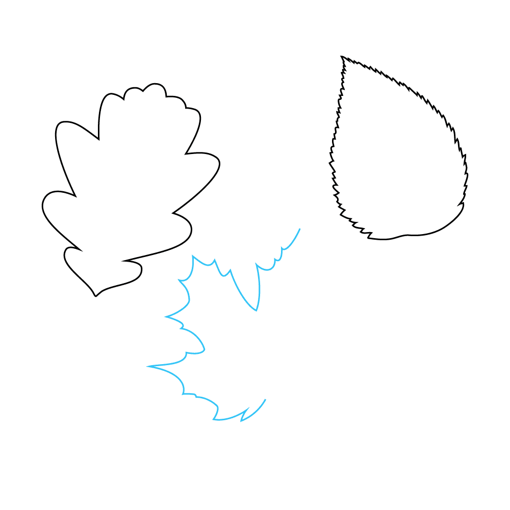 How to Draw Fall Leaves Step by Step Step  5
