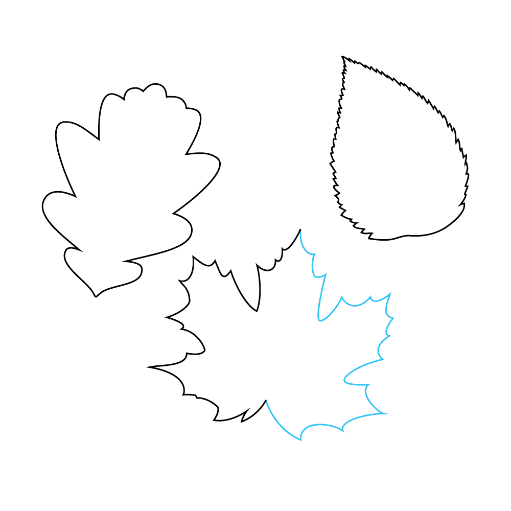 How to Draw Fall Leaves Step by Step Step  6