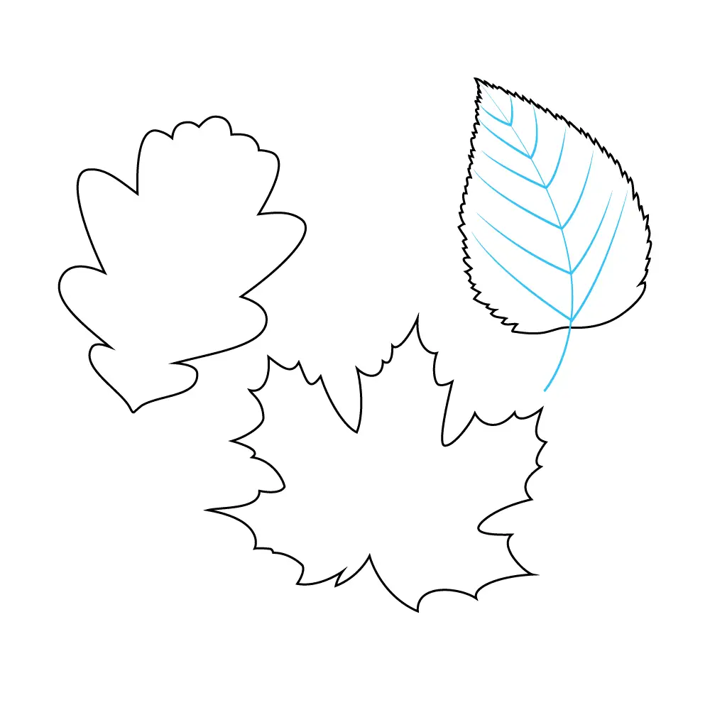How to Draw Fall Leaves Step by Step Step  7