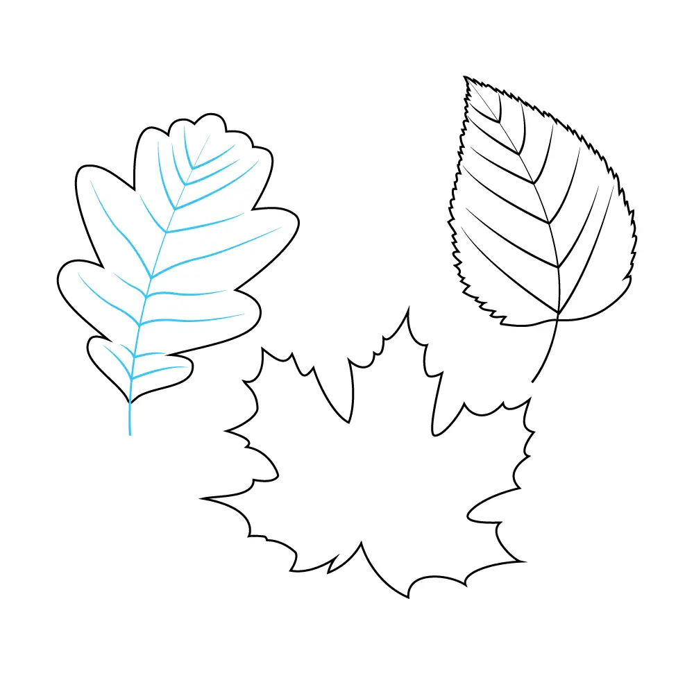 How to Draw Fall Leaves Step by Step Step  8