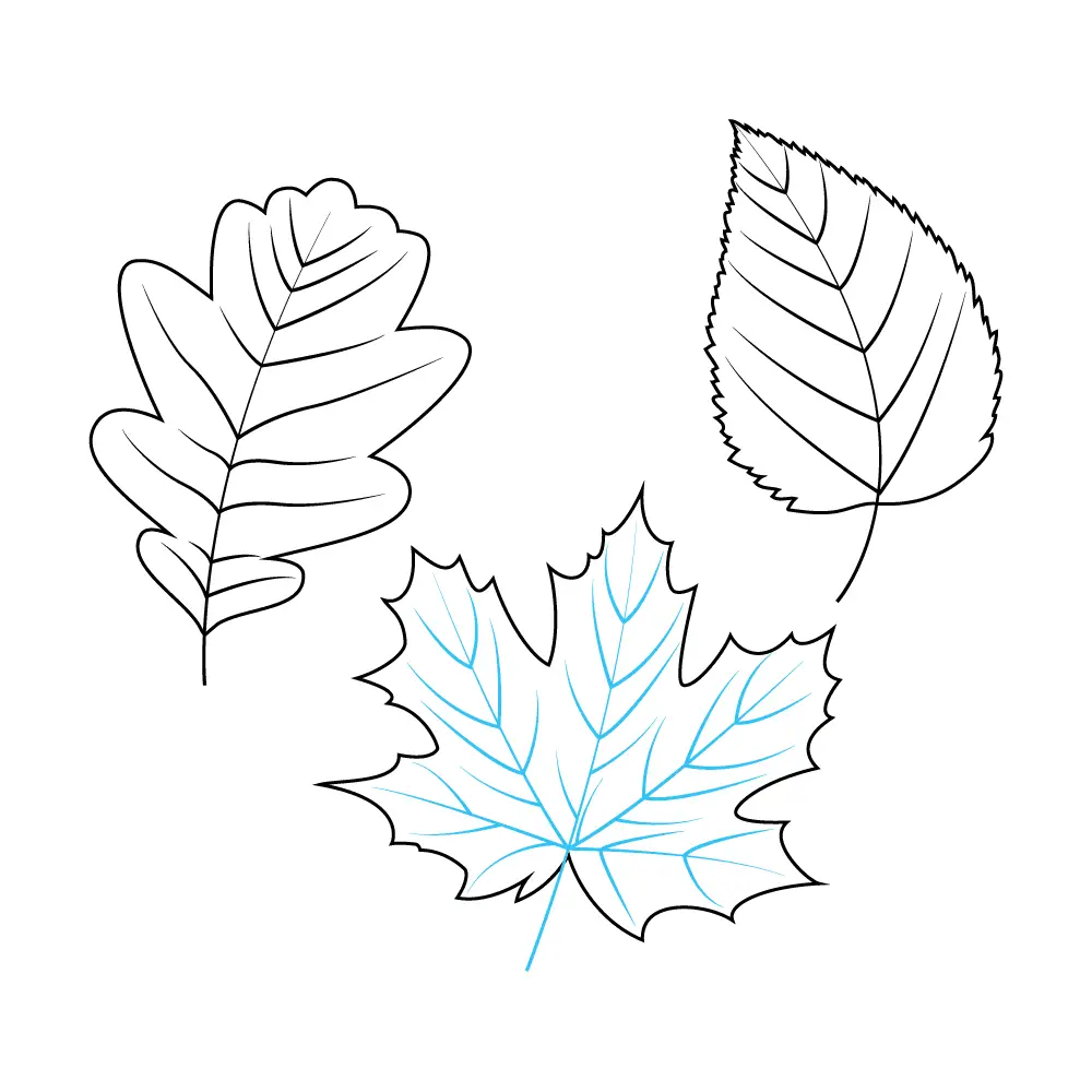 How to Draw Fall Leaves Step by Step Step  9