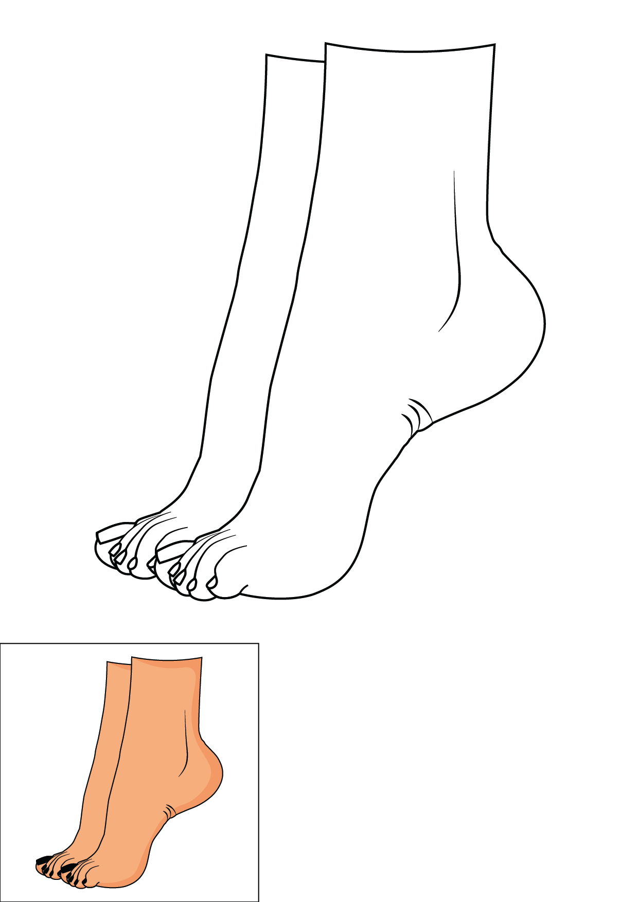 How to Draw A Feet Step by Step Printable Color