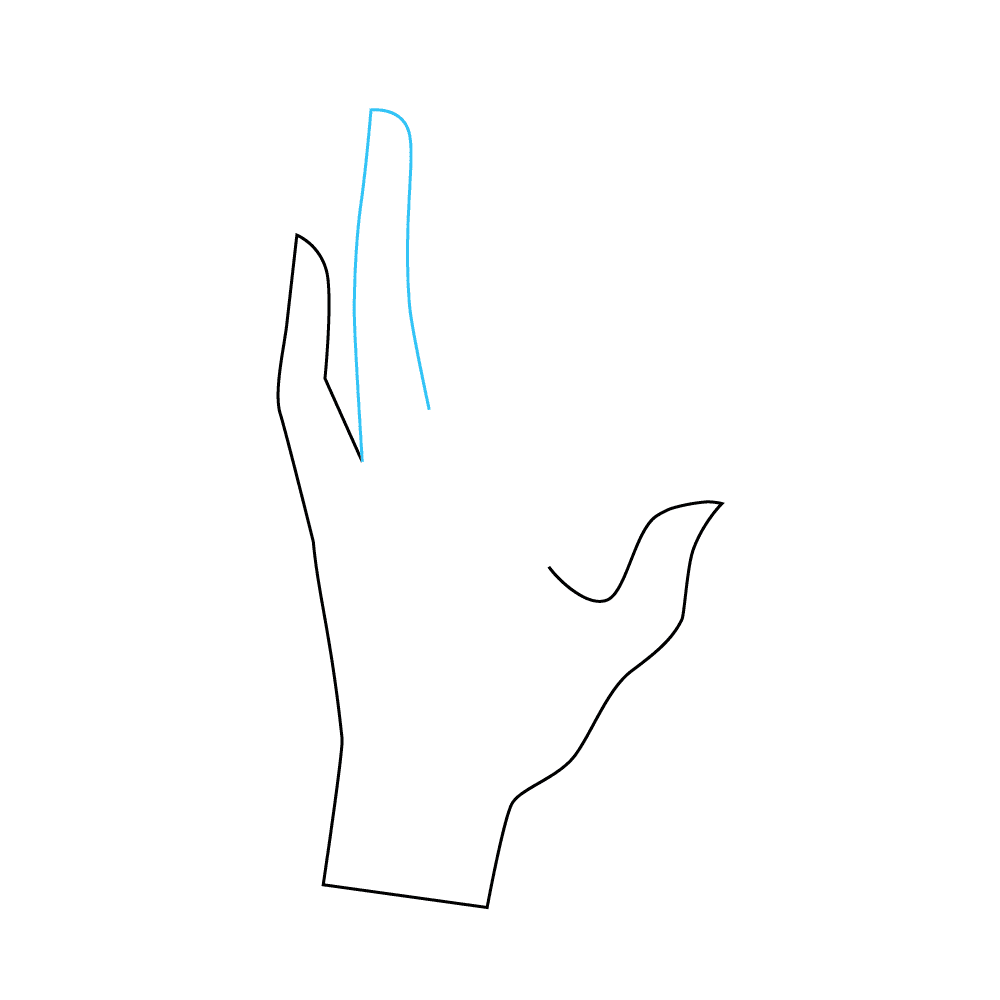 How to Draw Fingers Step by Step Step  4
