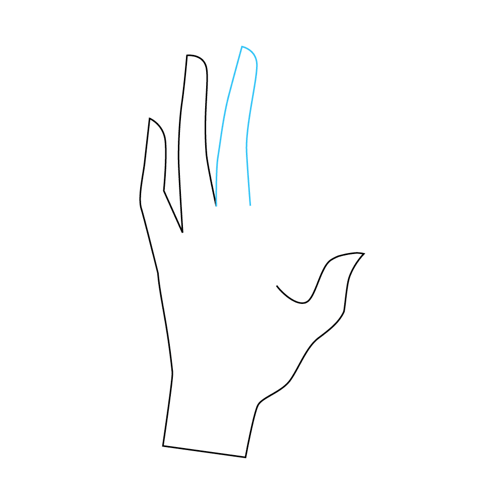 How to Draw Fingers Step by Step Step  5