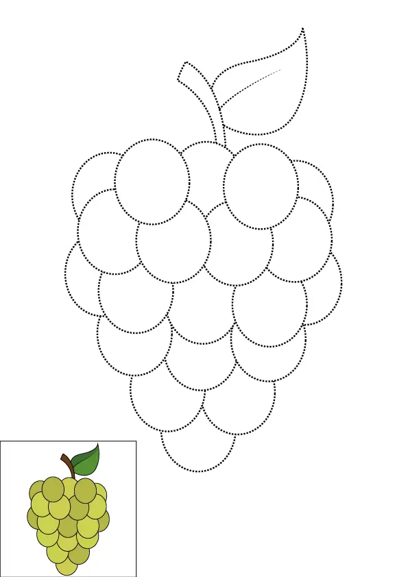 How to Draw Grapes Step by Step Printable Dotted