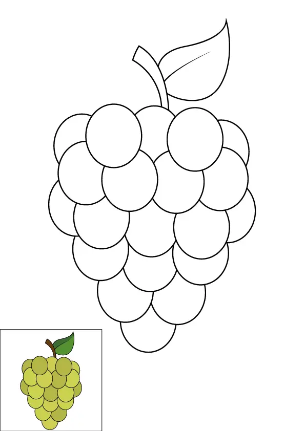 How to Draw Grapes Step by Step Printable Color