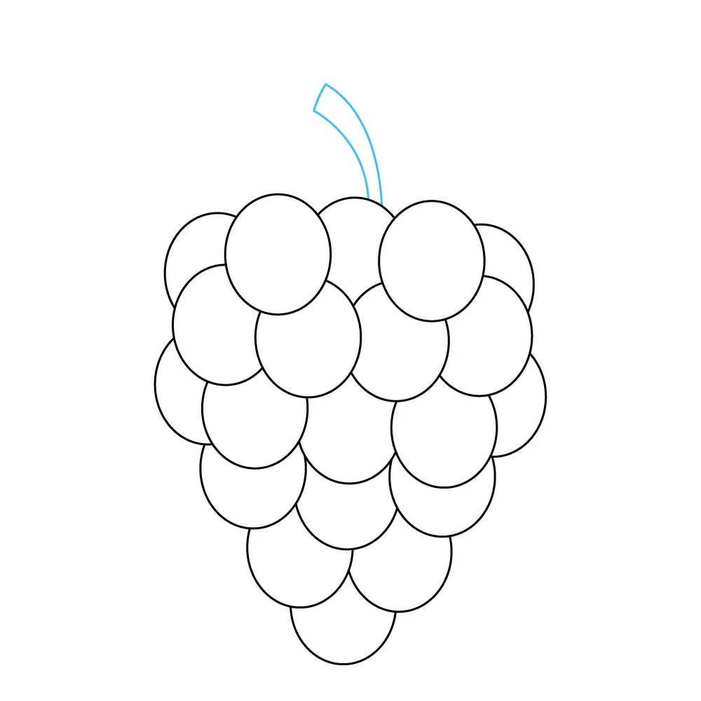 How to Draw Grapes Step by Step Step  8