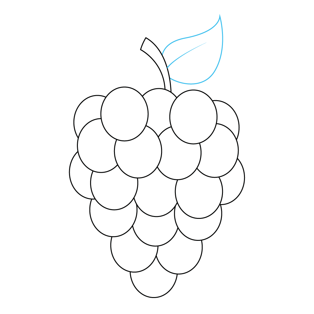 How to Draw Grapes Step by Step Step  9