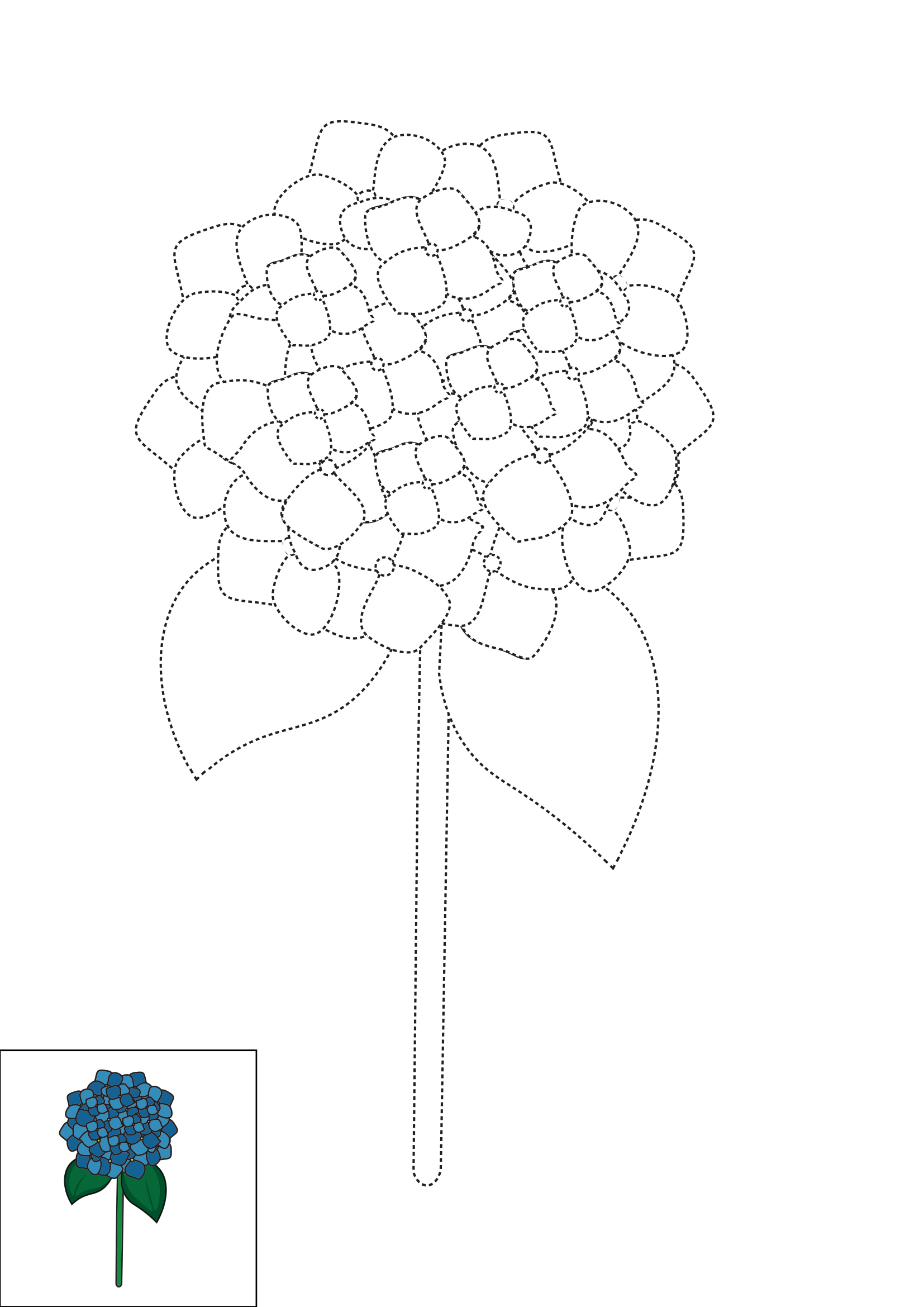 How to Draw Hydrangeas Step by Step Printable Dotted