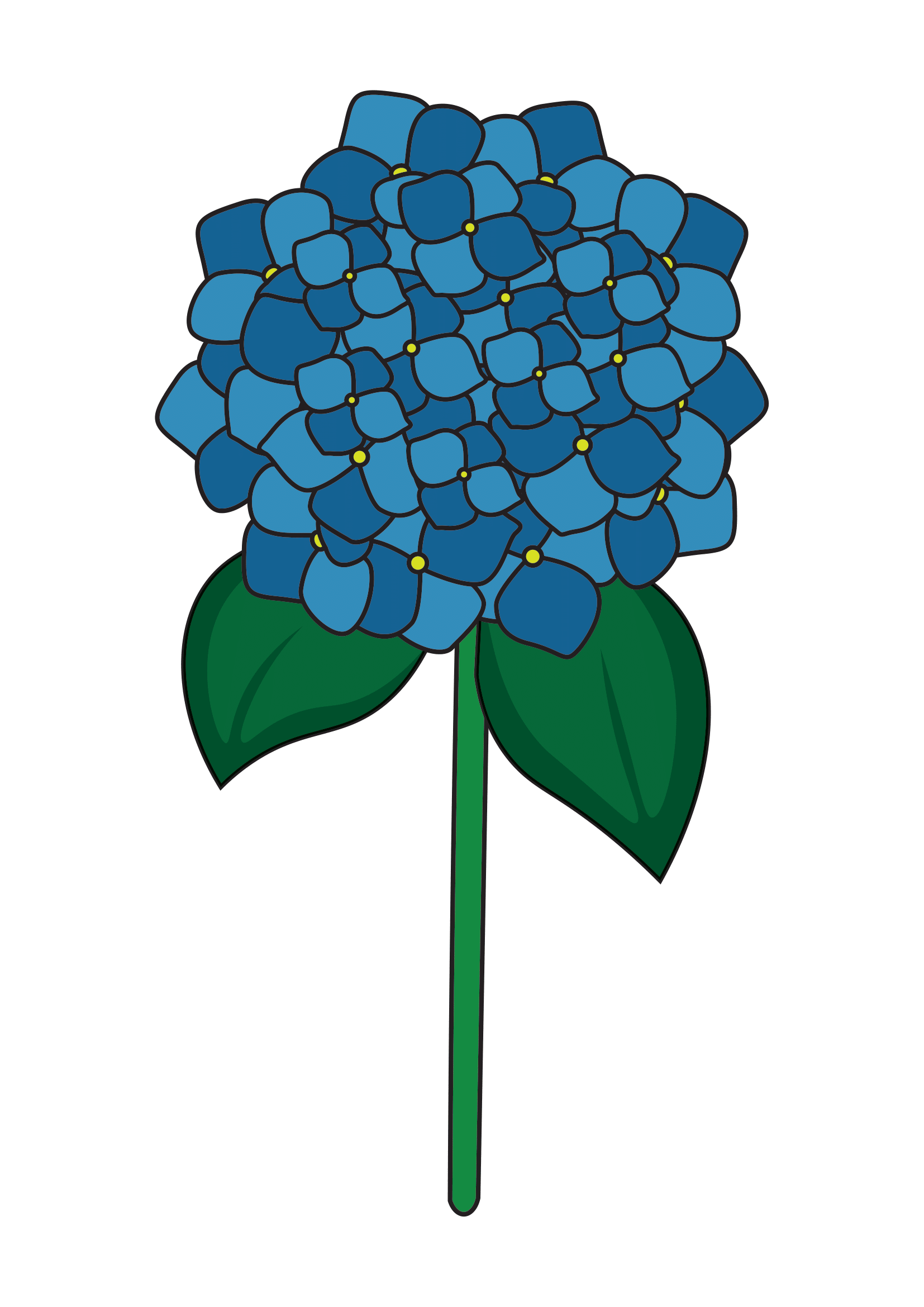 How to Draw Hydrangeas Step by Step Printable