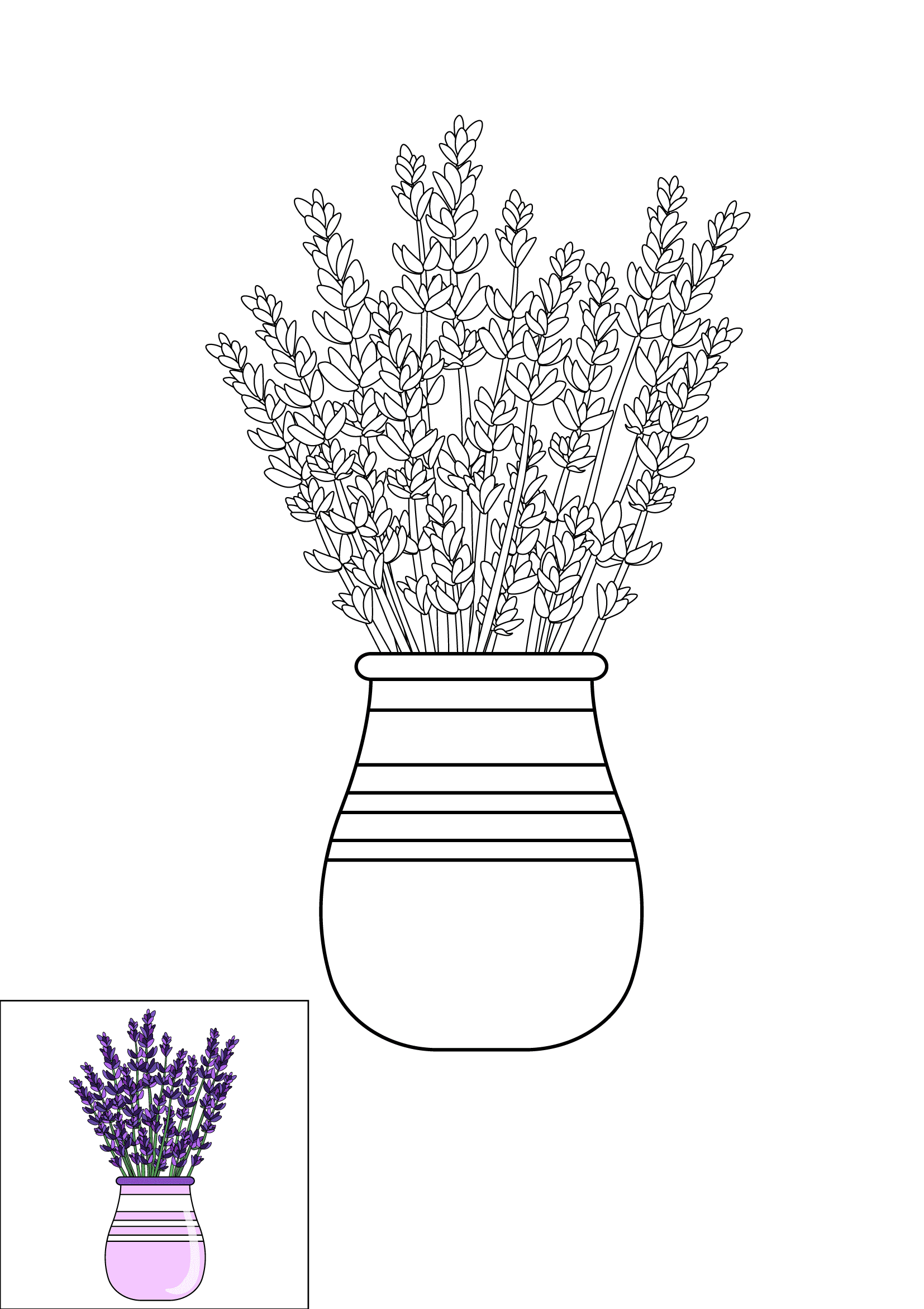 How to Draw Lavender Step by Step Printable Color