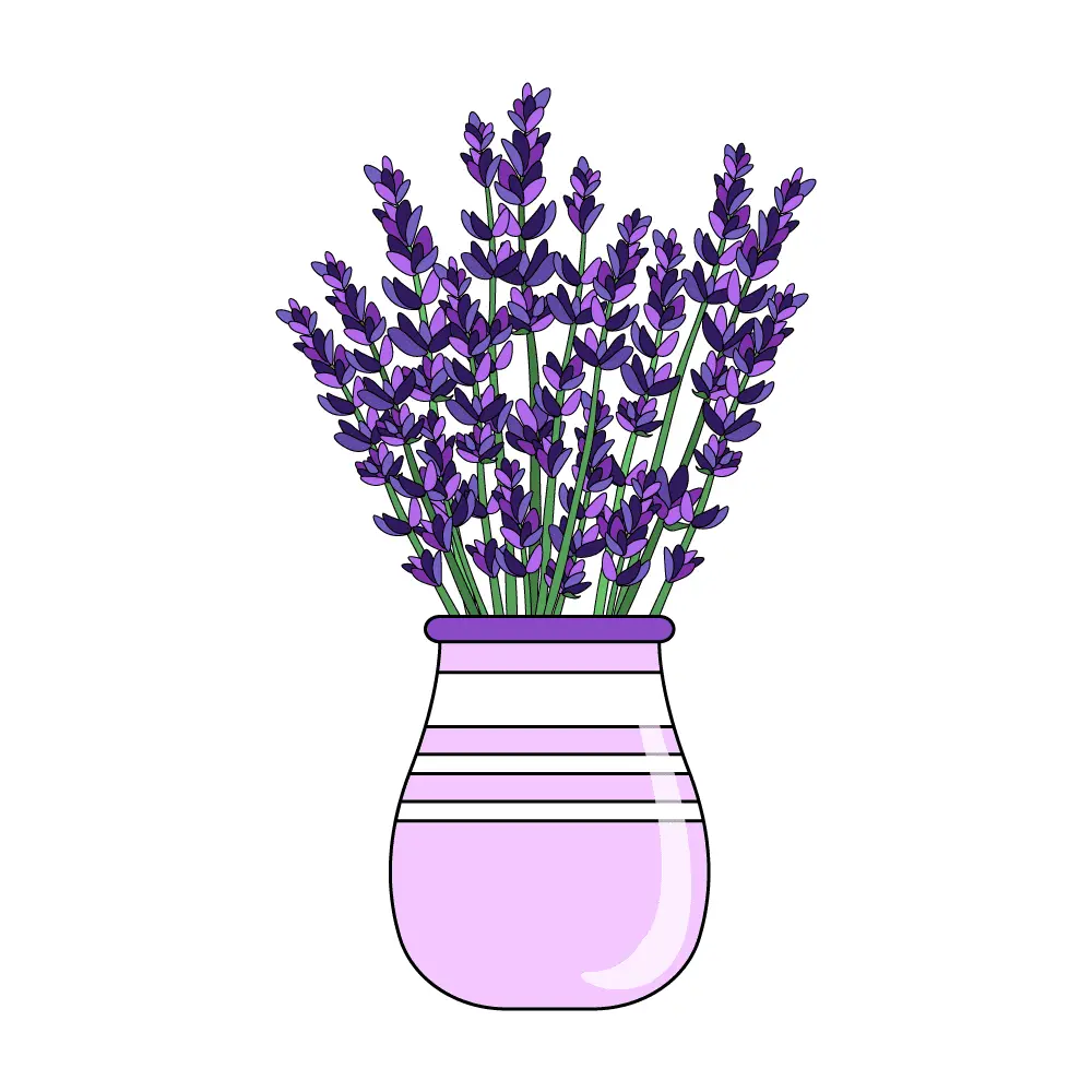 How to Draw Lavender Step by Step Step  11
