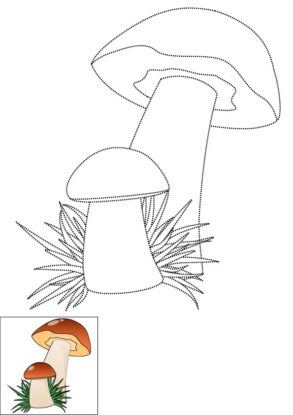 How to Draw Mushrooms Step by Step Printable Dotted