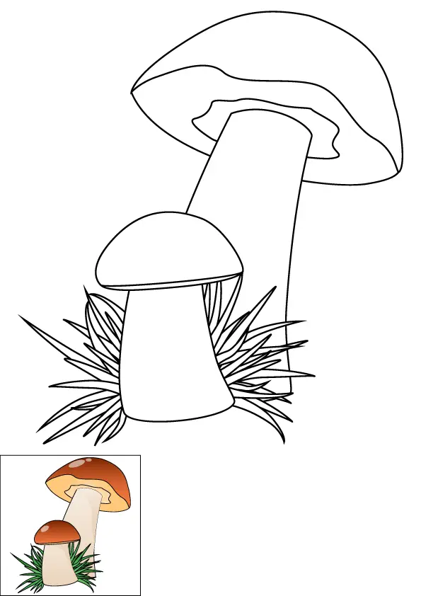 How to Draw Mushrooms Step by Step Printable Color