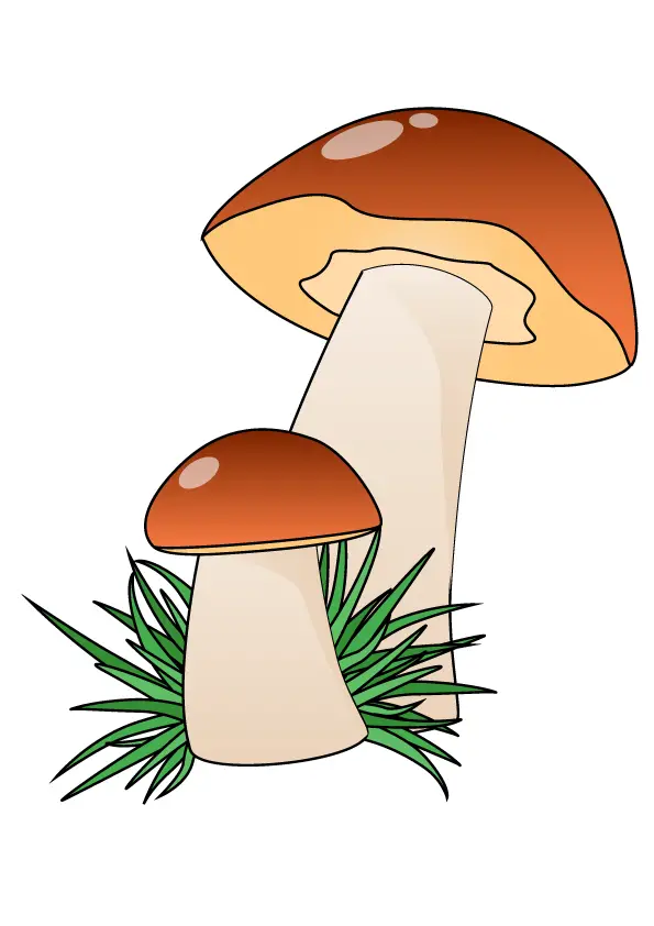 How to Draw Mushrooms Step by Step Printable