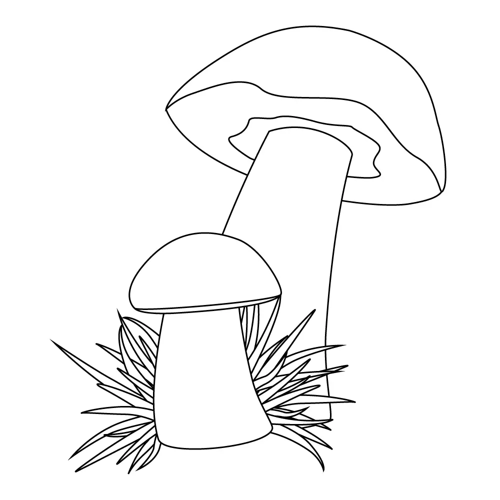 How to Draw Mushrooms Step by Step Step  11