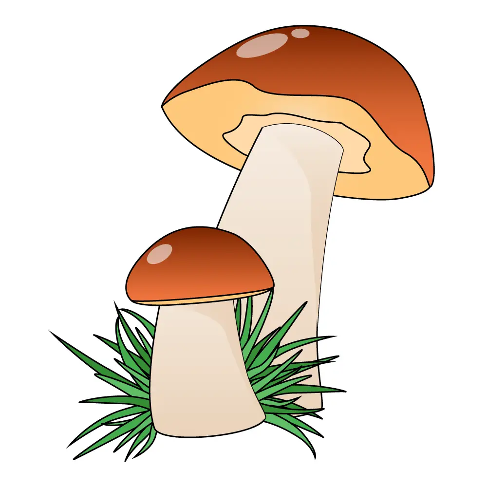 How to Draw Mushrooms Step by Step Step  12