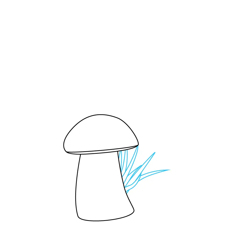 How to Draw Mushrooms Step by Step Step  3