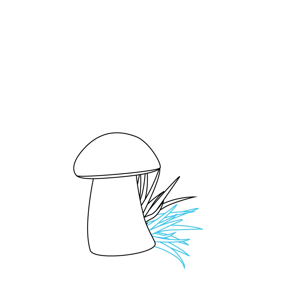 How to Draw Mushrooms Step by Step Step  4